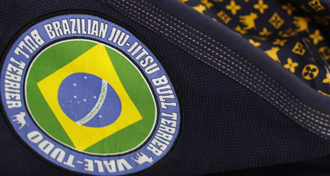 Revue : Gi Bull Terrier New Star